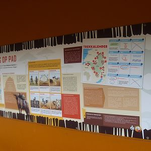 Savannah education (April 19th 2015)