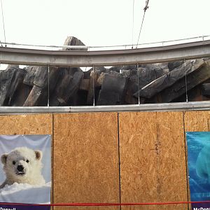 Polar Bear Point- Construction