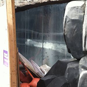 Polar Bear Point- Construction