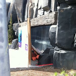 Polar Bear Point- Construction