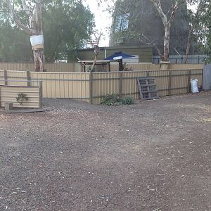 Koala enclosure