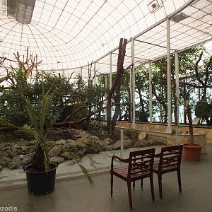 Primate House Indoor - With free ranging species