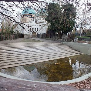 Hippo Outdoor Pool - That's it!