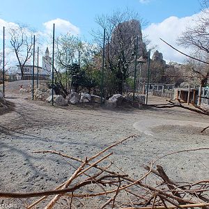 African Hoofstock Outdoor Area