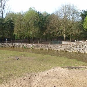 Savannah enclosure and wallaby/muntjac enclosure (April 19th, 2015)