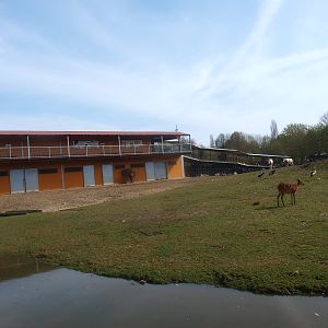 Savannah and Savannah building (April 19th, 2015)