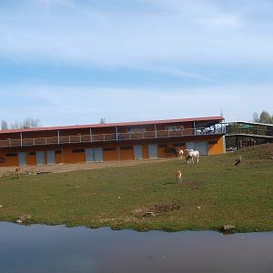 Savannah and savannah building (April 19th, 2015)