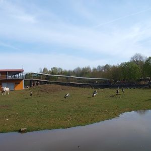 Savannah & savannah building (April 19th 2015).