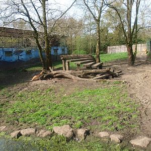 Lion enclosure 2 (April 19th, 2015)