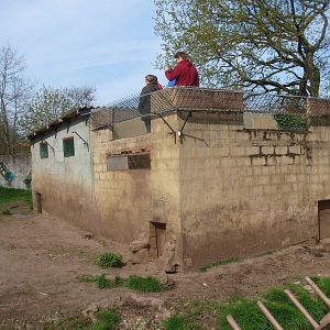 Lion building and viewing area (April 19th, 2015)