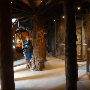 Museum Casa Panthera - 'Owl room' (April 19th, 2015)