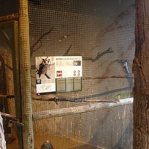 Museum Casa Panthera - Owl cage (April 19th, 2015)
