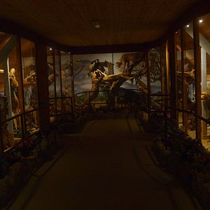 Museum Casa Panthera, second section (April 19th, 2015)