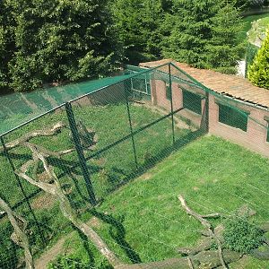 Panter and lynx enclosures (July 4th, 2009)