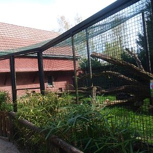 Mid-African leopard cage 2 (April 19th, 2015)