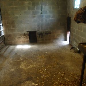 Indoor housing in Casa Panthera (April 19th, 2015)