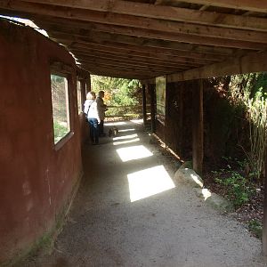 Leopard and lynx viewing area (April 19th, 2015)