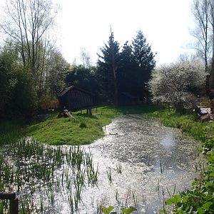 Island (April 19th, 2015)