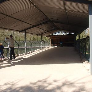 Bear forest and lion enclosures viewing area (April 19th, 2015)