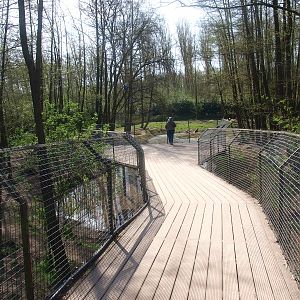 Bear forest viewing bridge (April 19th, 2015)