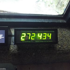 Electric Eel Voltage Meter - in aquarium below Amazonia