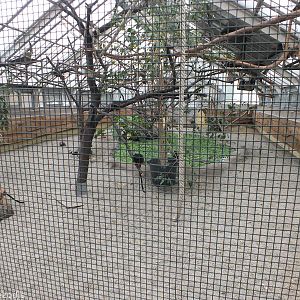 Example of one of the sections for Amazonia