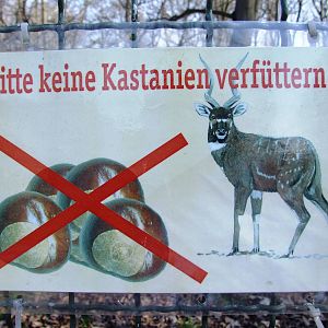 Pleasingly-specific Signage (Part 3) at Erfurt, 18/03/15