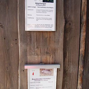 Definitely Unique Mixed Exhibit at Erfurt, 18/03/15