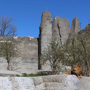 Lion Mountain Thing, April 2015