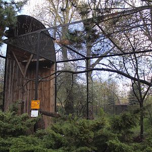 Pheasant and magpie aviary, April 2015