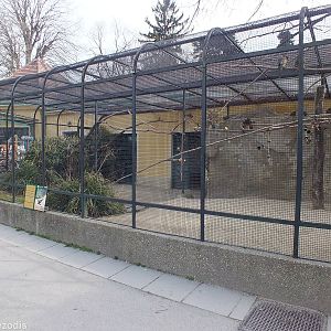 Patagonian Conure Aviary