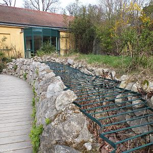Edge of Giant Tortoise Exhibit
