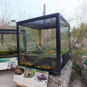 Outdoor Herp Enclosures