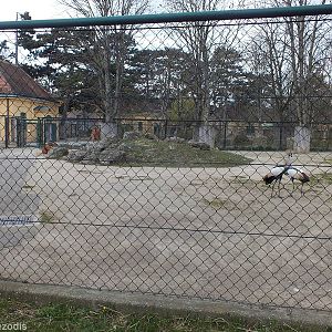 Enclosure for Eland and Grey Crowned-cranes