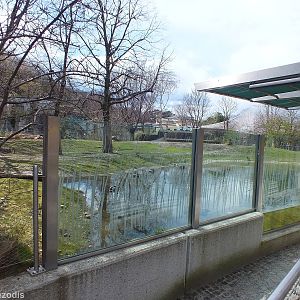 South American Enclosure