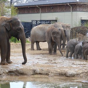 Upali ( on left ) with his family .