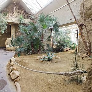 African Savannah Section of Bird House