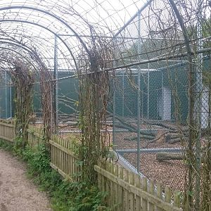 New aviaries under construction