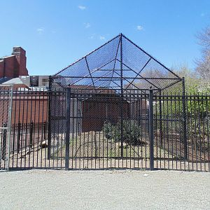 New Bateleur Eagle Exhibit