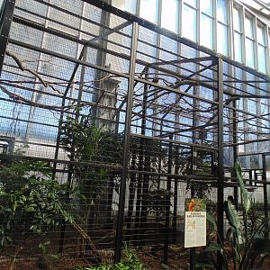 Raggiana BOP Exhibit in Wetlands Area