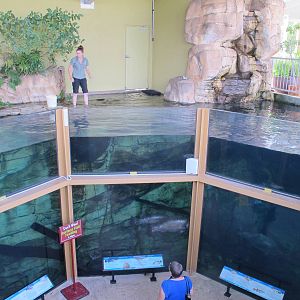 Freshwater Aquarium - Crocosaurus Cove