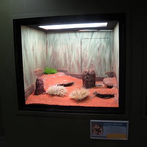 Indoor Terrarium - Crocosaurus Cove