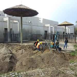 Loosen the soil of elephant exhibit