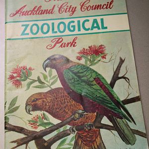 Auckland Zoo guide - approx 1961
