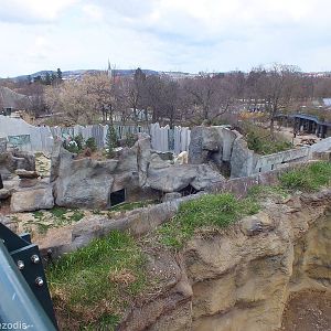 Franz Joseph Land Polar bear area + edge of coati enclosure
