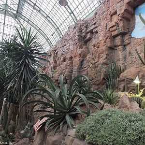 View of Part of Desert House