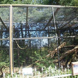 Clouded leopard cage 1 (April 19th, 2015)