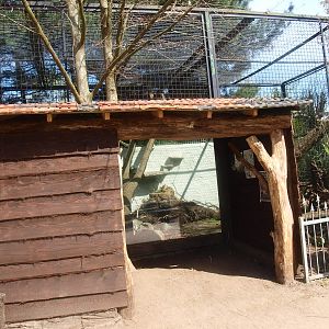 Viewing hut for second clouded leopard cage (April 19th, 2015)