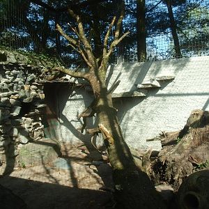 Clouded leopard cage 2 (April 19th, 2015)