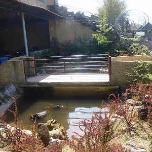 Koi and slider turtle pond in front of the restaurant (April 19th, 2015)